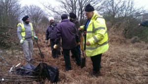 Volunteers eagerly work on planting trees